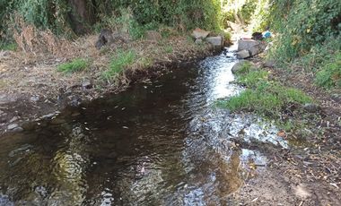 CAMPO, AGRÍCOLA EN VENTA, 60 HA, TENO