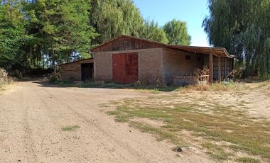 CAMPO, AGRÍCOLA EN VENTA, 60 HA, TENO