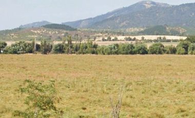 CAMPO, AGRÍCOLA EN VENTA, 49 HA, SAN JAVIER