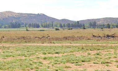 CAMPO, AGRÍCOLA EN VENTA, 49 HA, SAN JAVIER