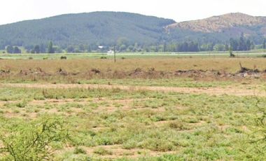 CAMPO, AGRÍCOLA EN VENTA, 49 HA, SAN JAVIER