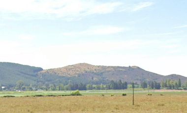 CAMPO, AGRÍCOLA EN VENTA, 49 HA, SAN JAVIER
