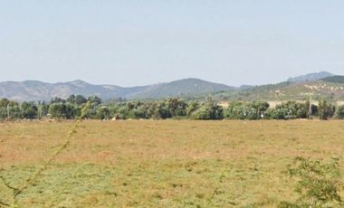 CAMPO, AGRÍCOLA EN VENTA, 49 HA, SAN JAVIER