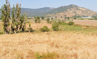 CAMPO, AGRÍCOLA EN VENTA, 49 HA, SAN JAVIER