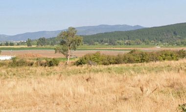 CAMPO, AGRÍCOLA EN VENTA, 49 HA, SAN JAVIER
