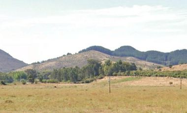 CAMPO, AGRÍCOLA EN VENTA, 49 HA, SAN JAVIER