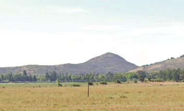 CAMPO, AGRÍCOLA EN VENTA, 49 HA, SAN JAVIER