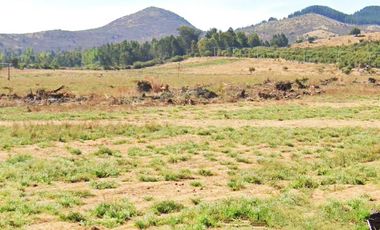 CAMPO, AGRÍCOLA EN VENTA, 49 HA, SAN JAVIER