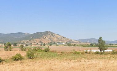 CAMPO, AGRÍCOLA EN VENTA, 49 HA, SAN JAVIER