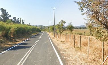 CAMPO, AGRÍCOLA EN VENTA, 49 HA, SAN JAVIER