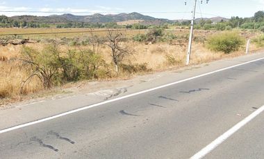 CAMPO, AGRÍCOLA EN VENTA, 49 HA, SAN JAVIER