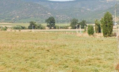 CAMPO, AGRÍCOLA EN VENTA, 49 HA, SAN JAVIER