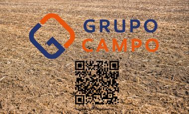 CAMPO, AGRÍCOLA EN VENTA, 27,86 HA, CON AVELLANO, PELARCO