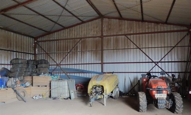 CAMPO, AGRÍCOLA EN VENTA, 27,86 HA, CON AVELLANO, PELARCO