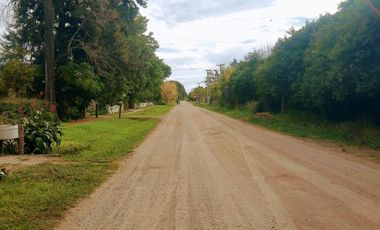 Exclusiva Quinta de 1 ha en B° Caima-D Orijón