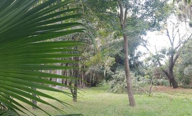 Exclusiva Quinta de 1 ha en B° Caima-D Orijón