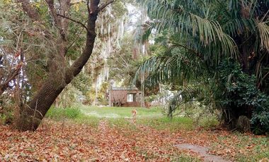 Exclusiva Quinta de 1 ha en B° Caima-D Orijón