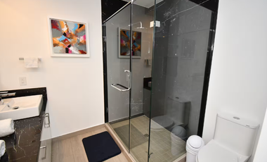 PENT HOUSE  - REAL VEW - ZONA REAL