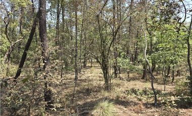 Terreno de 2000 m2 en  Quinta Andrea, Huasca de Ocampo Hidalgo.