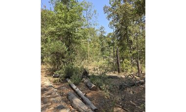 Terreno de 2000 m2 en  Quinta Andrea, Huasca de Ocampo Hidalgo.