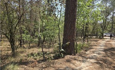 Terreno de 2000 m2 en  Quinta Andrea, Huasca de Ocampo Hidalgo.