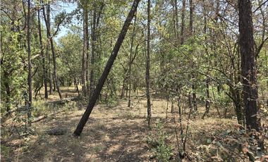 Terreno de 2000 m2 en  Quinta Andrea, Huasca de Ocampo Hidalgo.