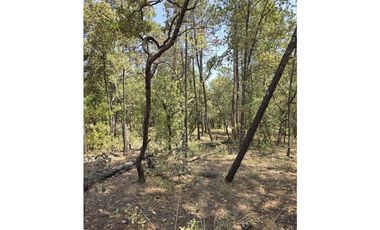Terreno de 2000 m2 en  Quinta Andrea, Huasca de Ocampo Hidalgo.