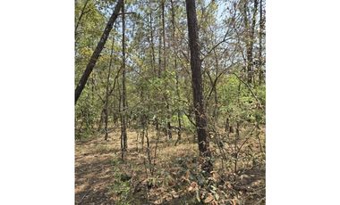 Terreno de 2000 m2 en  Quinta Andrea, Huasca de Ocampo Hidalgo.