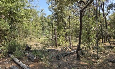Terreno de 2000 m2 en  Quinta Andrea, Huasca de Ocampo Hidalgo.