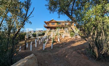 Asombrosa propiedad en Renta en Valle de Guadalupe - (3)
