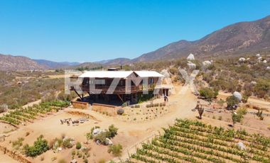 Asombrosa propiedad en Renta en Valle de Guadalupe - (3)