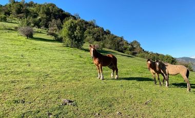 Parcela con hermosa vista