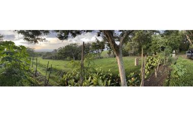 Lote en venta en condominio campestre Lagos de Maracaibo Palmira Valle