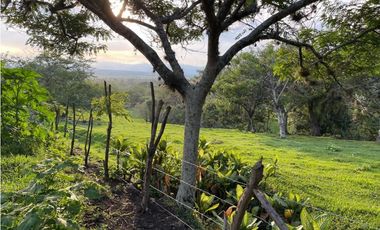 Lote en venta en condominio campestre Lagos de Maracaibo Palmira Valle