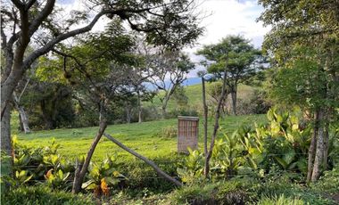 Lote en venta en condominio campestre Lagos de Maracaibo Palmira Valle