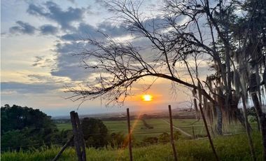 Lote en venta en condominio campestre Lagos de Maracaibo Palmira Valle