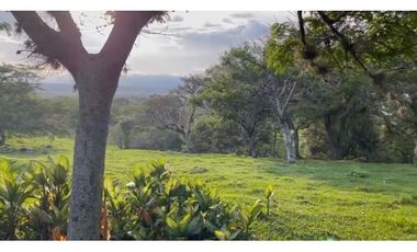 Lote en venta en condominio campestre Lagos de Maracaibo Palmira Valle