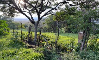 Lote en venta en condominio campestre Lagos de Maracaibo Palmira Valle