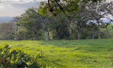 Lote en venta en condominio campestre Lagos de Maracaibo Palmira Valle