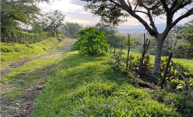 Lote en venta en condominio campestre Lagos de Maracaibo Palmira Valle