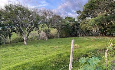 Lote en venta en condominio campestre Lagos de Maracaibo Palmira Valle