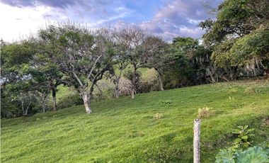 Lote en venta en condominio campestre Lagos de Maracaibo Palmira Valle