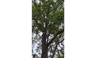 Quinta en venta en Campestre el Barro en Santiago