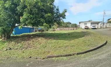 VILLA ZAITA / VILLAS ALPINAS / TERRENO / 608M / ESQUINA / PLANO
