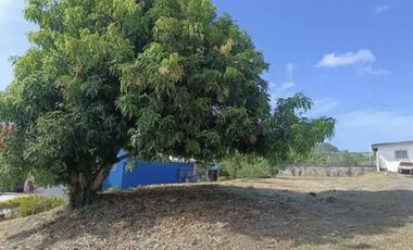 VILLA ZAITA / VILLAS ALPINAS / TERRENO / 608M / ESQUINA / PLANO