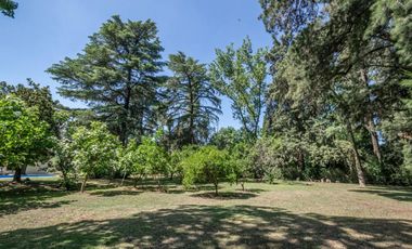 Quinta venta en Benavidez con pileta