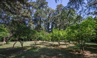 Quinta venta en Benavidez con pileta