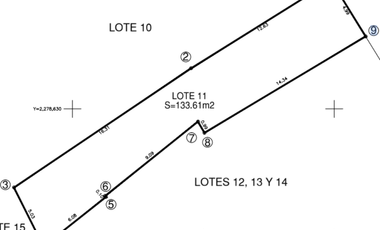 Lote Asteroides 11