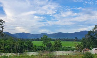 Land for sale in Nong Yaeng, Chiang Mai