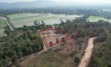 Land for sale in Nong Yaeng, Chiang Mai